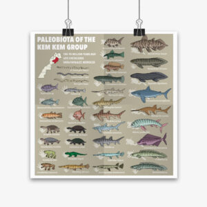Paleobiota of the Kem Kem Group (Part 2)