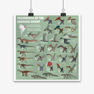 Paleobiota of the Santana Group (Part 1)